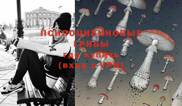 спайс Заводоуковск